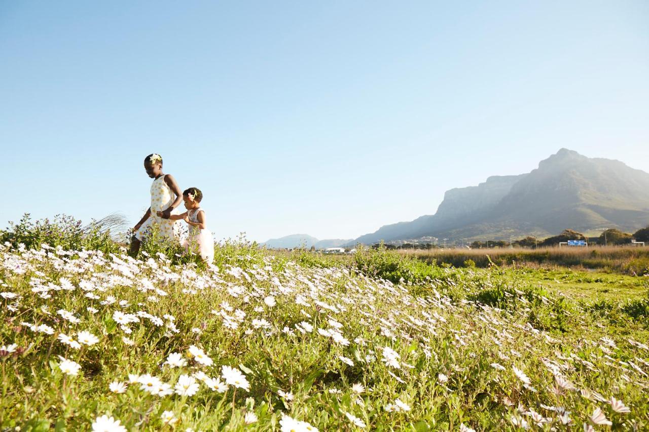 Lighthouse Farm Backpackers Lodge Cape Town Exterior photo