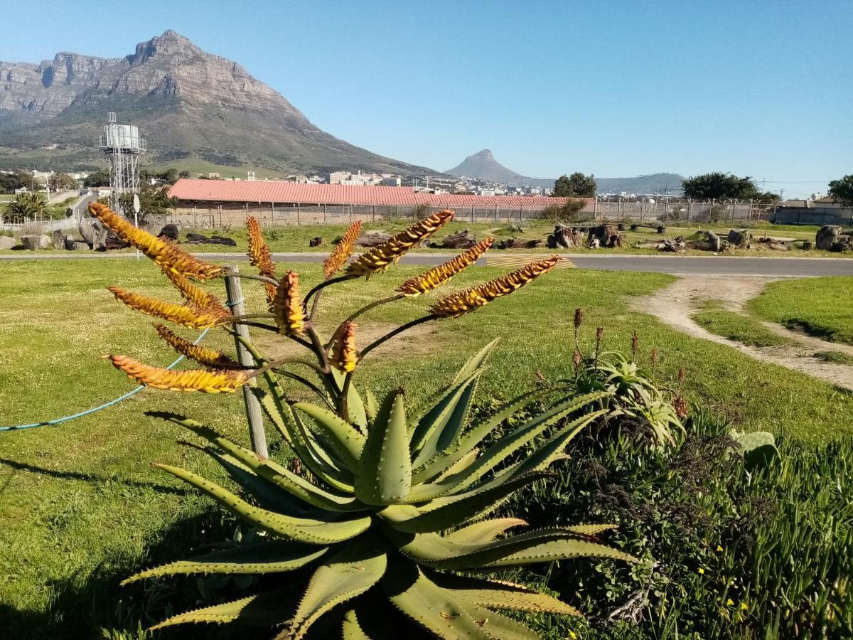 Lighthouse Farm Backpackers Lodge Cape Town Exterior photo