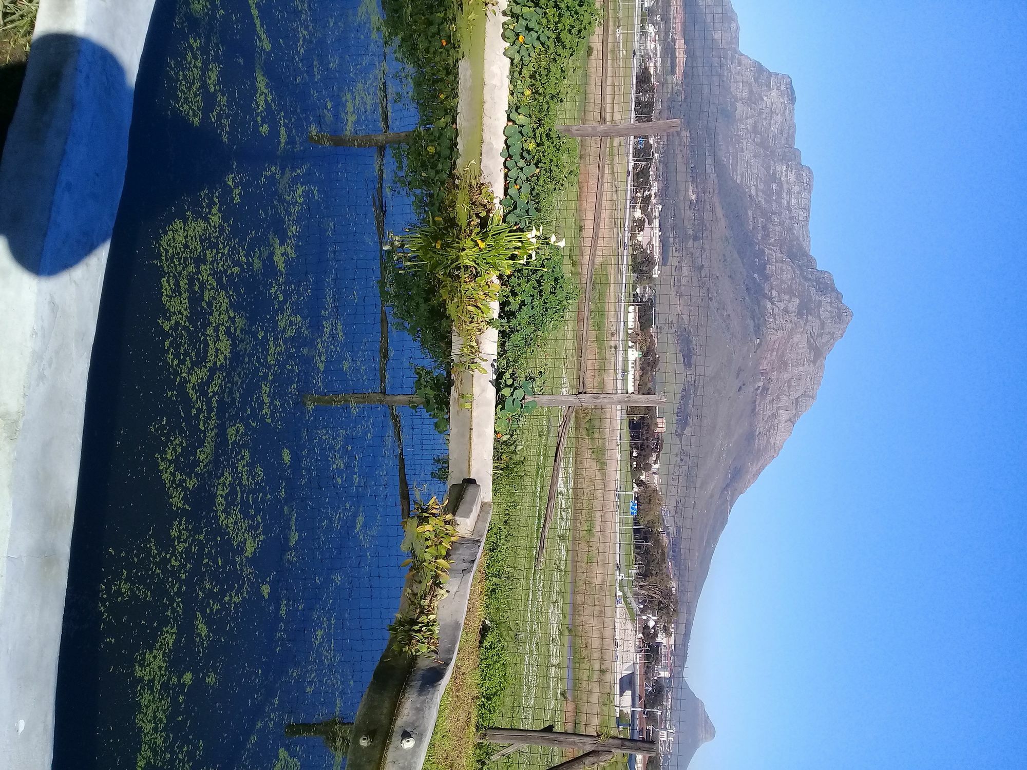 Lighthouse Farm Backpackers Lodge Cape Town Exterior photo